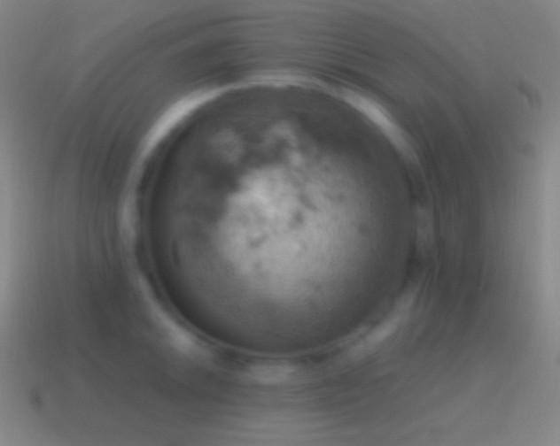 X0000115591046200911101234