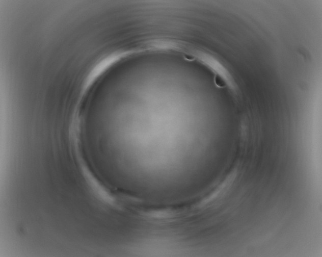 X0000115591047200911101234