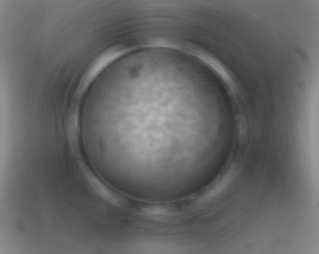 X0000115591048200911101234