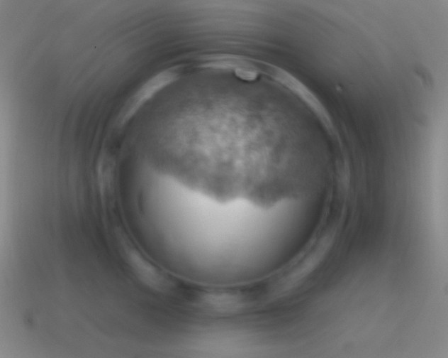 X0000115591049200911101234