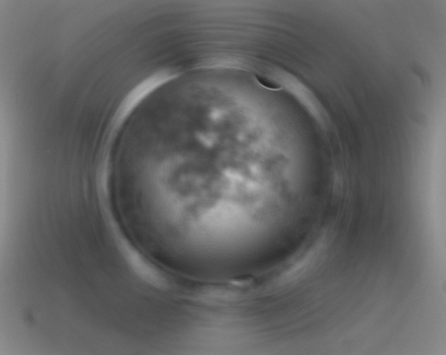 X0000115591050200911101234