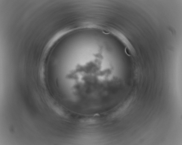 X0000115591051200911101234