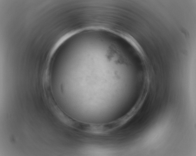 X0000115591052200911101234