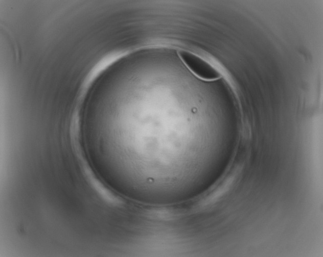 X0000115591053200911101234