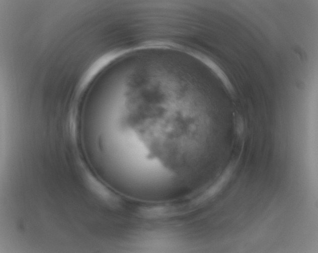 X0000115591054200911101234