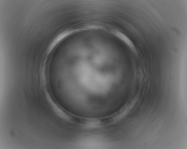 X0000115591055200911101234