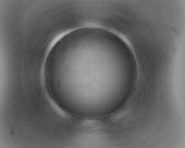 X0000115591056200911101234