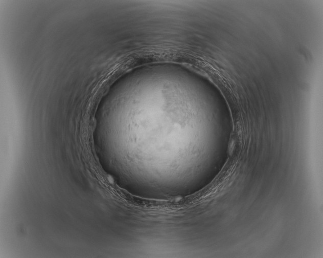 X0000115591057200911101234