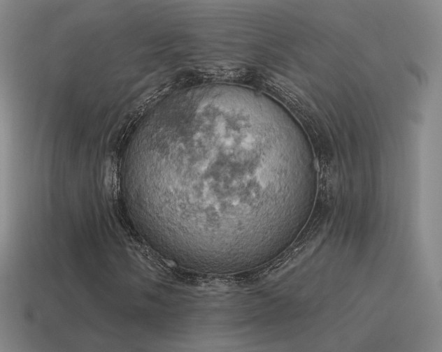 X0000115591058200911101234