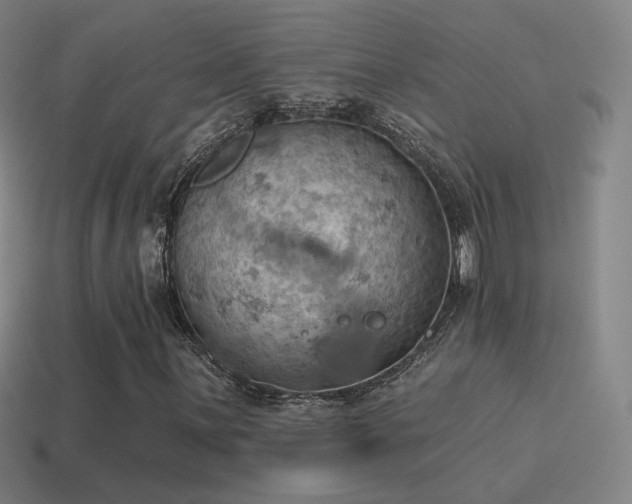 X0000115591059200911101234