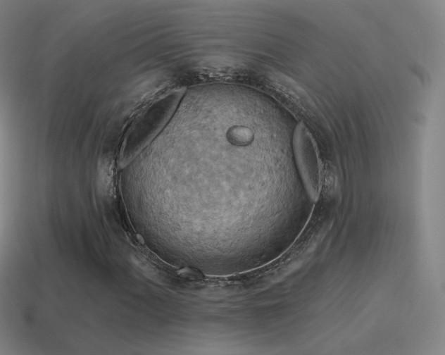 X0000115591060200911101234