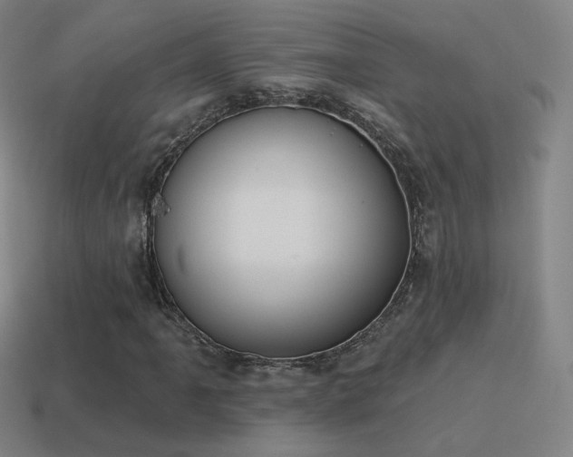 X0000115591061200911101234