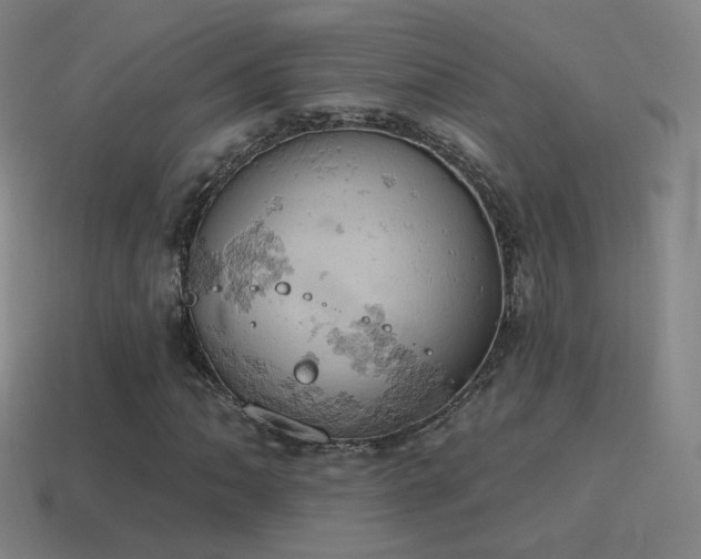 X0000115591062200911101234