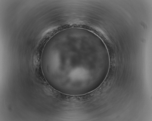 X0000115591063200911101234