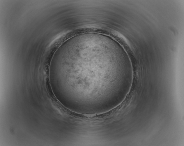 X0000115591064200911101234