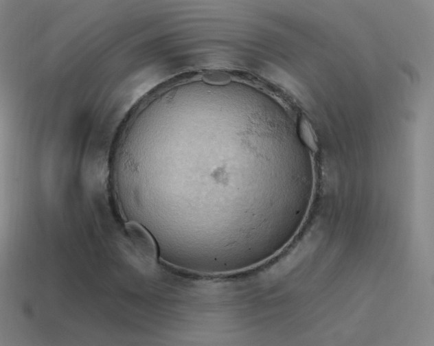 X0000115591065200911101234