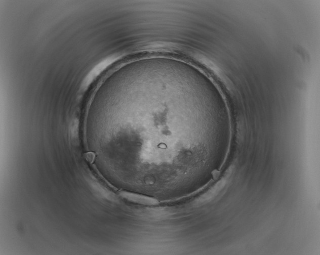 X0000115591066200911101234