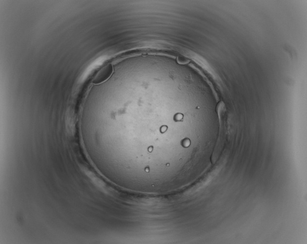 X0000115591067200911101234