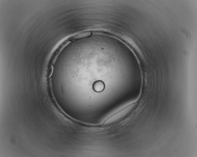 X0000115591068200911101234