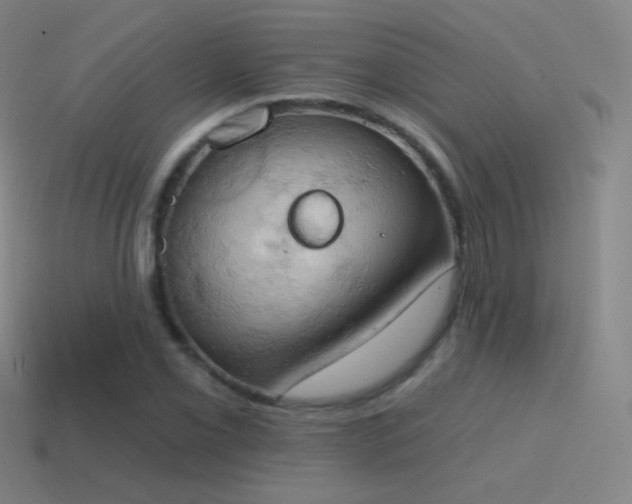 X0000115591069200911101234