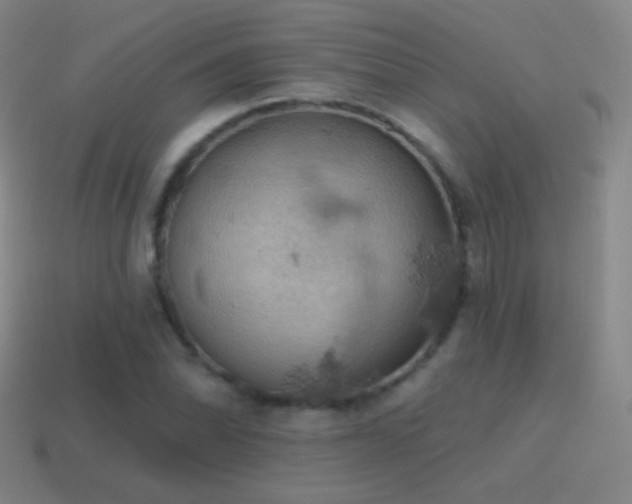 X0000115591070200911101234