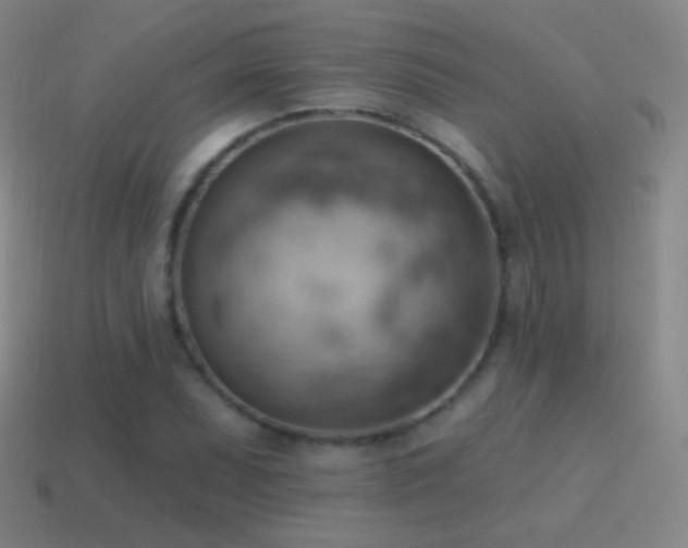 X0000115591071200911101234