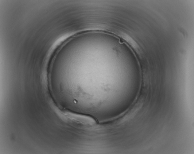 X0000115591072200911101234