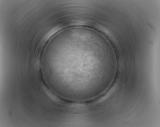 X0000115591073200911101234