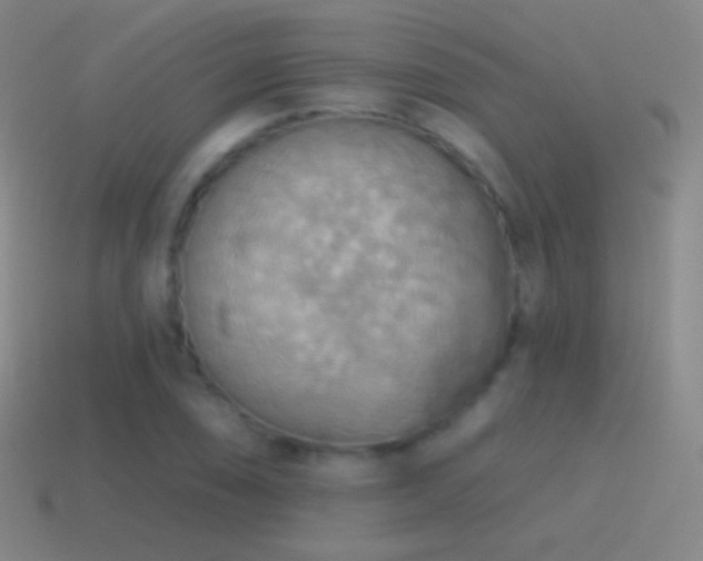 X0000115591074200911101234