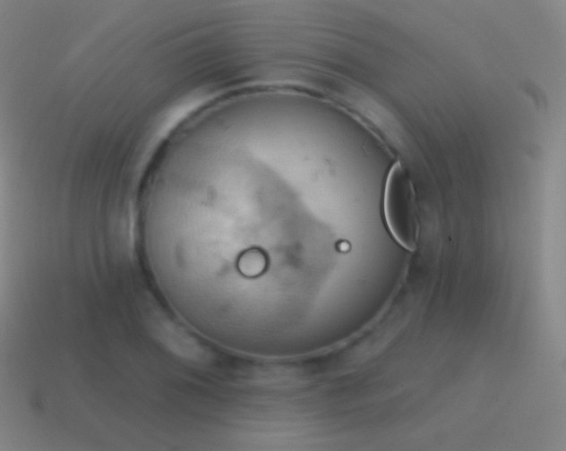 X0000115591076200911101233