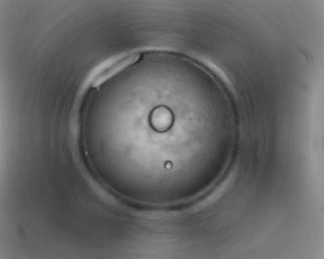 X0000115591077200911101233