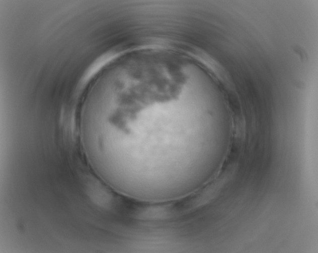 X0000115591078200911101233