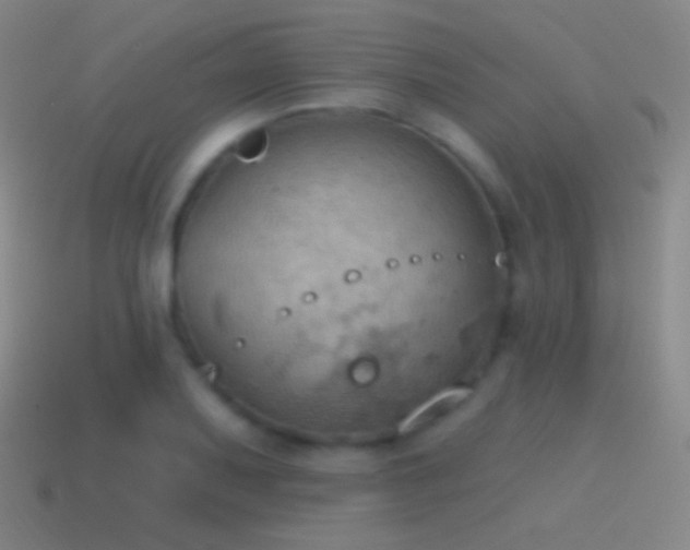 X0000115591079200911101233