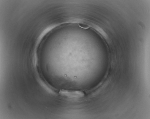 X0000115591080200911101233