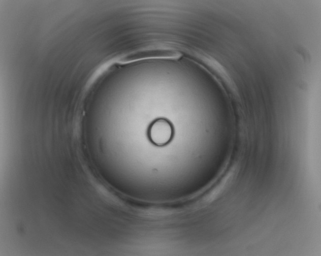 X0000115591081200911101233