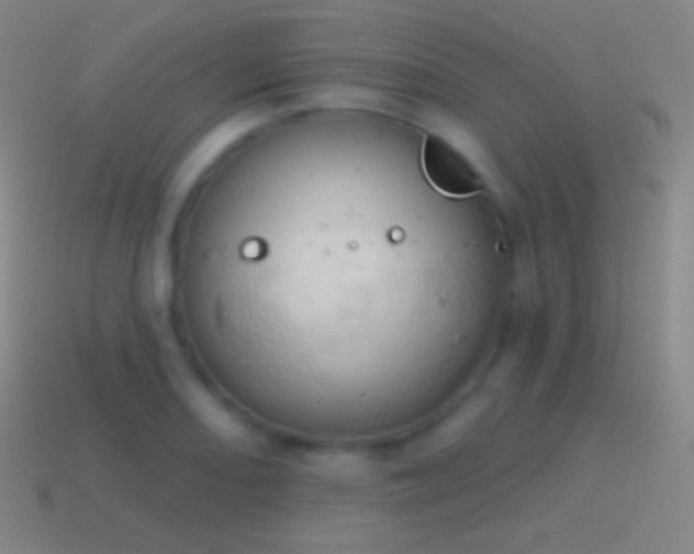 X0000115591082200911101233