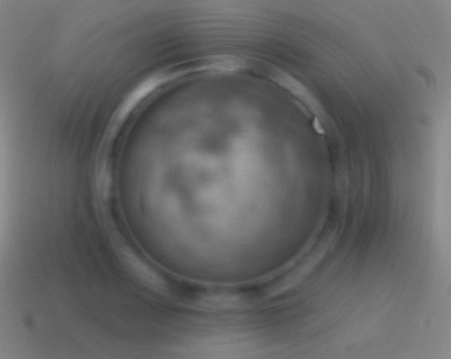 X0000115591083200911101233