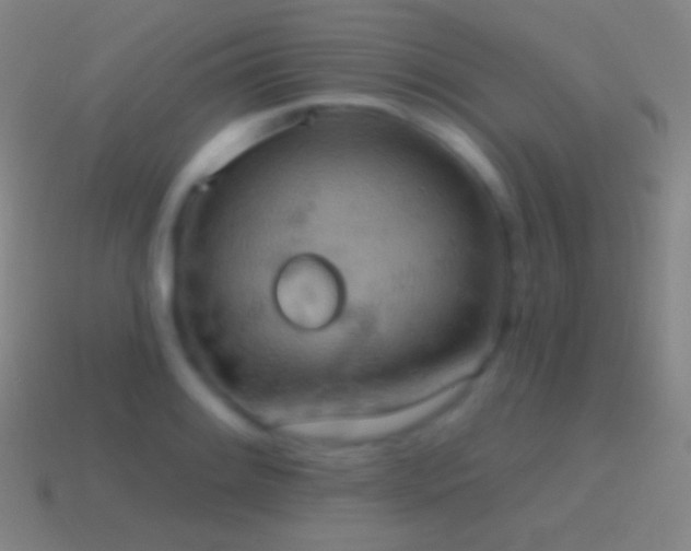 X0000115591084200911101233