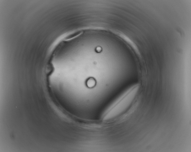 X0000115591085200911101233