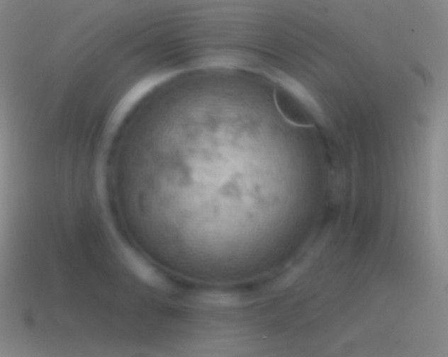 X0000115591086200911101233