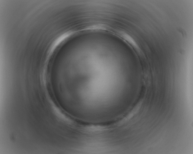 X0000115591087200911101233