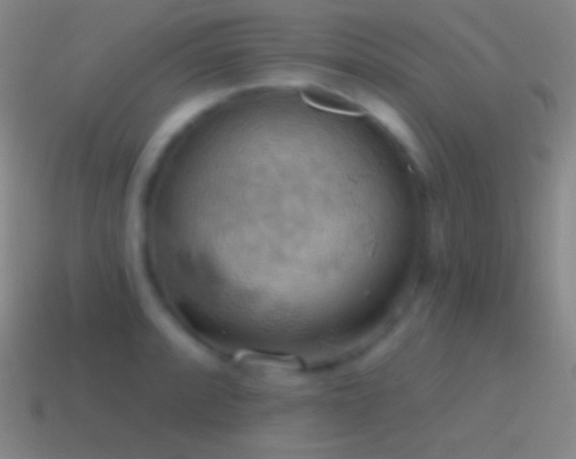 X0000115591088200911101233