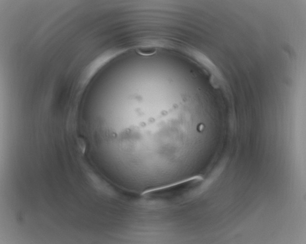 X0000115591089200911101233