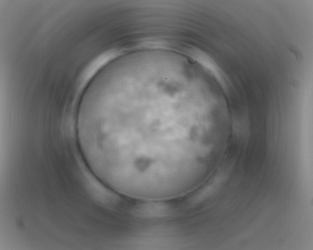 X0000115591090200911101233