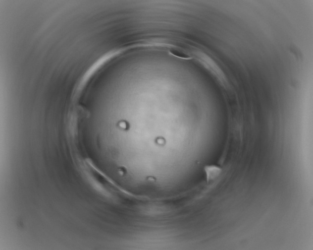 X0000115591092200911101233