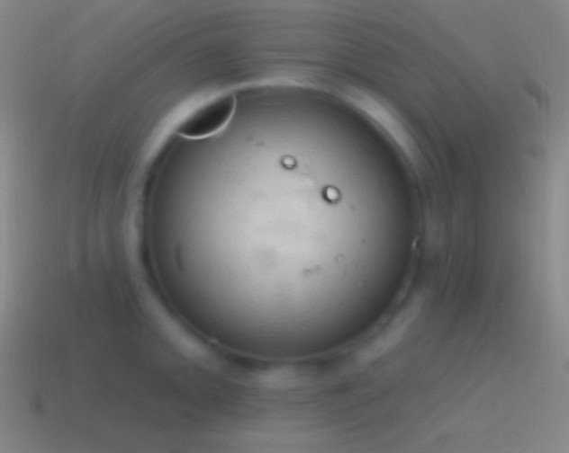 X0000115591093200911101233