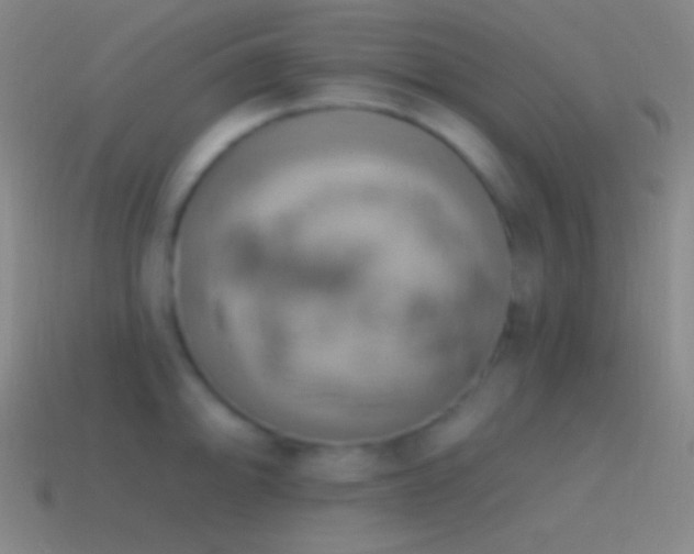 X0000115591094200911101233