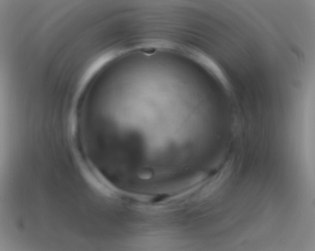 X0000115591095200911101233