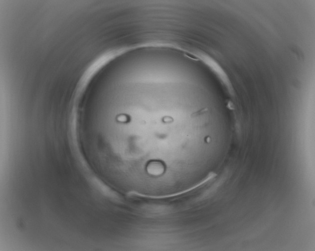 X0000115591096200911101233