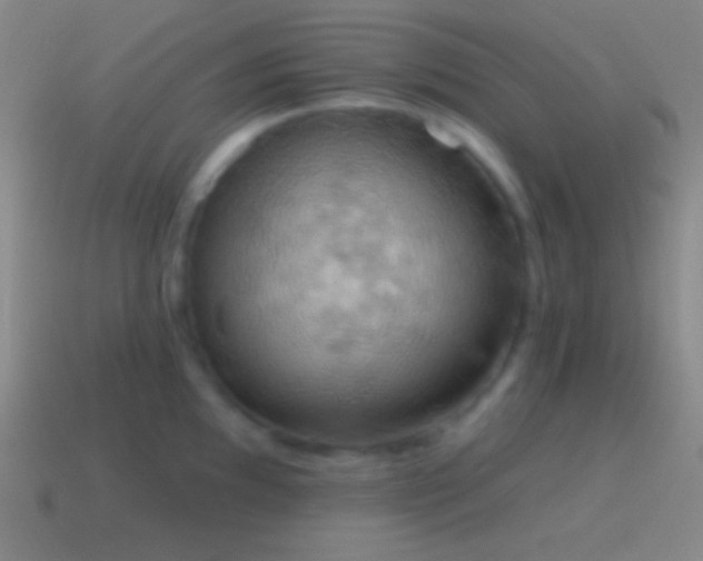 X0000115591097200911101233